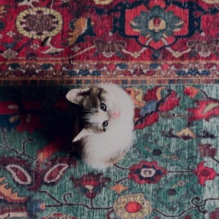  عکس های پروفایل جدید امسال