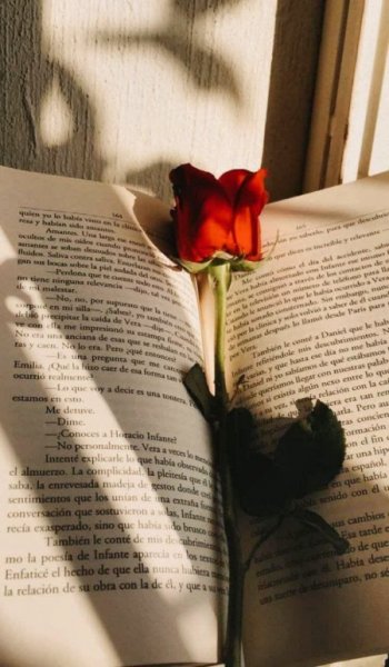  عکس های هنری و گرافیکی