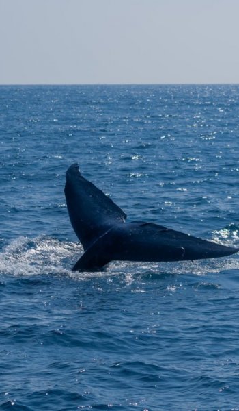  عکس های هنری و گرافیکی