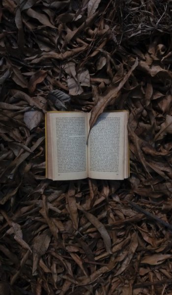  عکس های هنری ساده