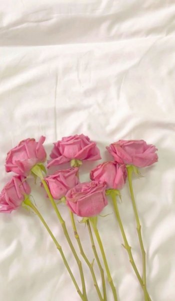  عکس های هنری ساده