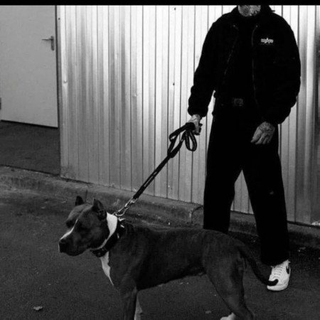  عکس پروف گاد