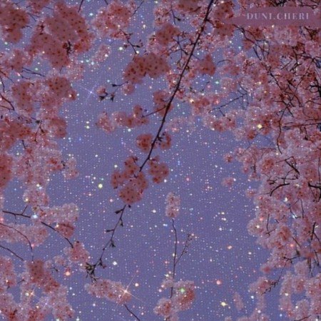  عکس پروف گاد دخترونه