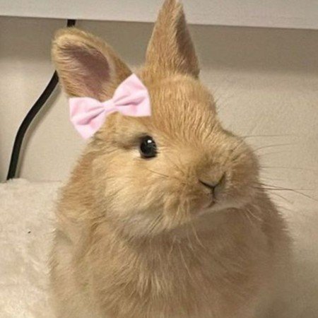  عکس گنگ برای پروفایل دخترانه