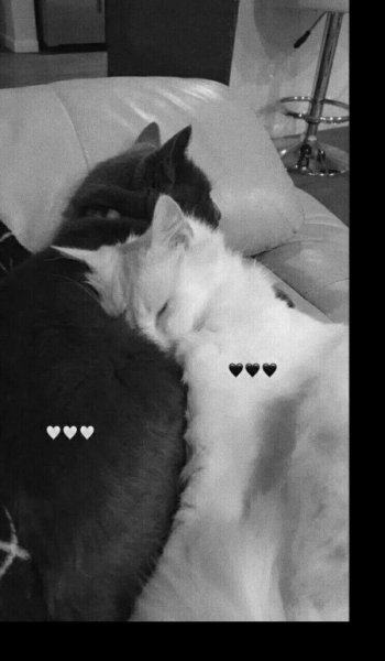  عکس پروفایل سیاه و غمگین