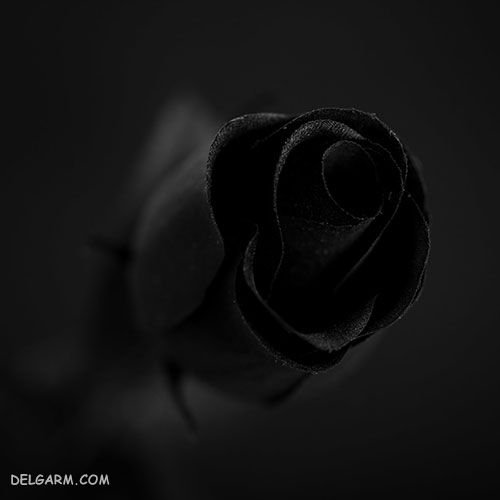  عکس پروفایل سیاه ساده