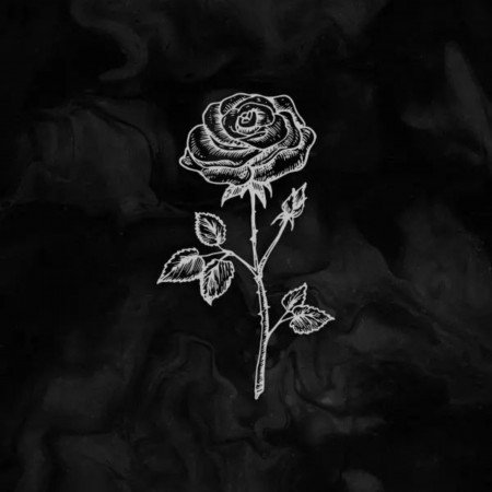  عکس پروفایل سیاه خاص