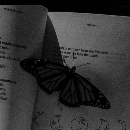  عکس پروفایل سیاه خاص