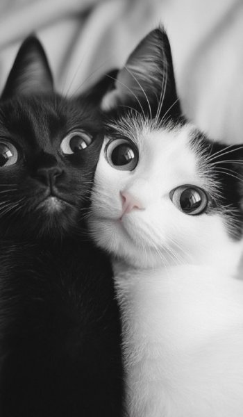  عکس پروفایل دخترونه اسپرت سیاه و سفید