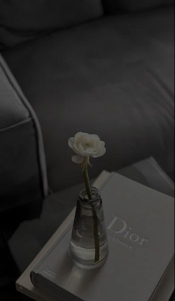  پروف گنگ مشکی