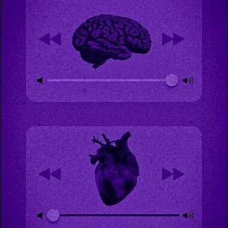  بک گراند بنفش کیوت