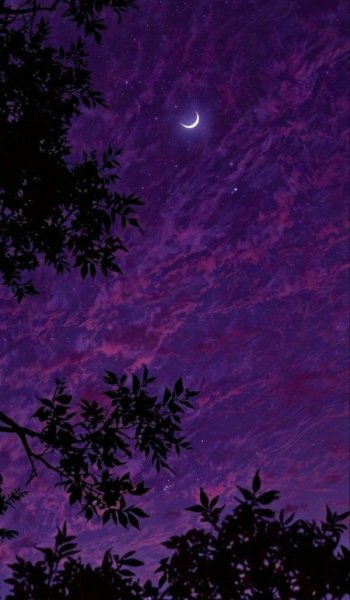  بک گراند بنفش شاخ