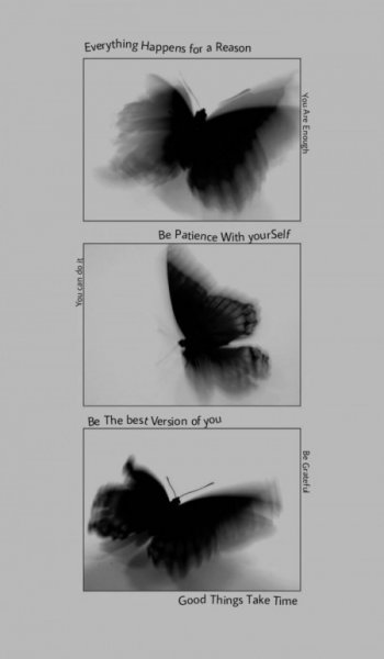  بک گراند بنفش شاخ