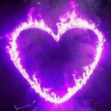  بک گراند بنفش شاخ