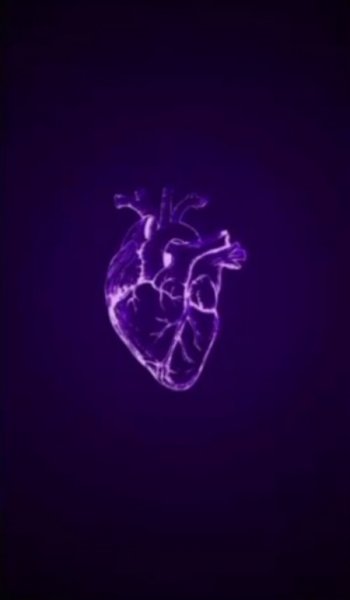  بک گراند بنفش شاخ