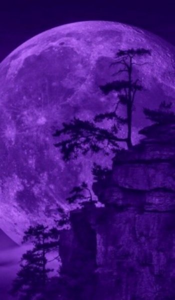  بک گراند بنفش شاخ