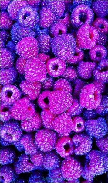  بک گراند بنفش پاستلی ساده