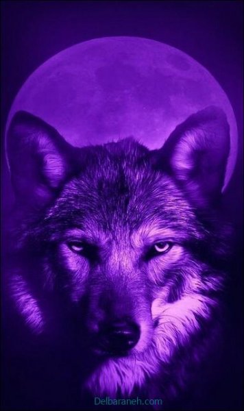  بک گراند بنفش پاستلی ساده