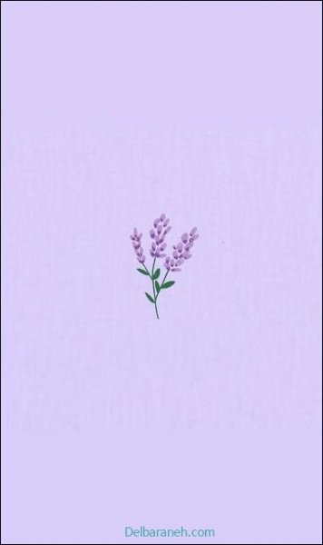  بک گراند بنفش پاستلی ساده