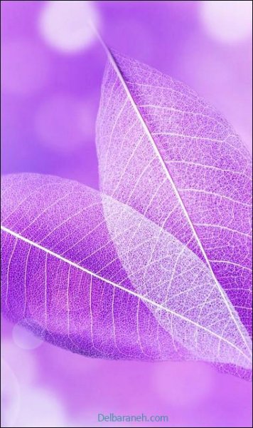  بک گراند بنفش پاستلی ساده