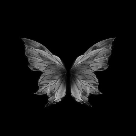  عکس دارک کیوت