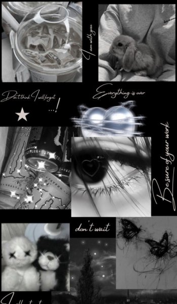  عکس دارک کیوت