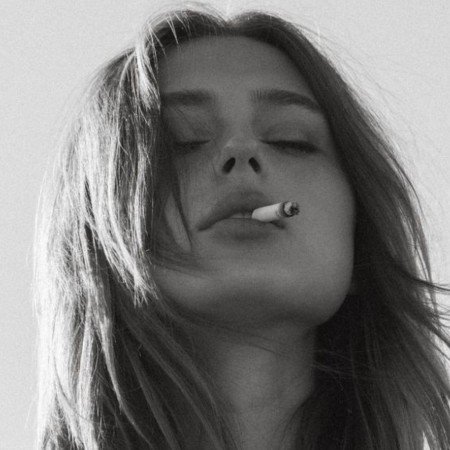  پروف دارک پینترست