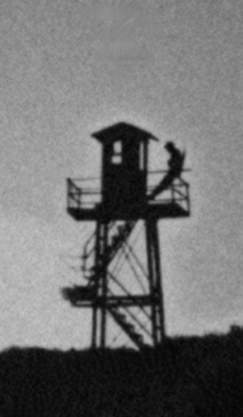  پروف گنگ پینترست