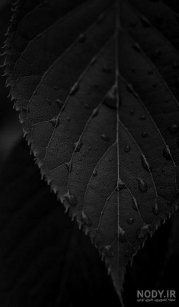  بک گراند دارک پینترست