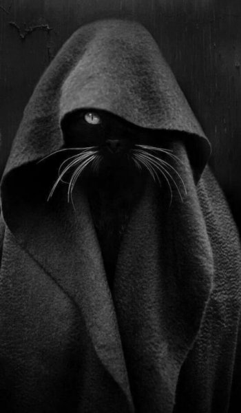  بک گراند دارک پینترست