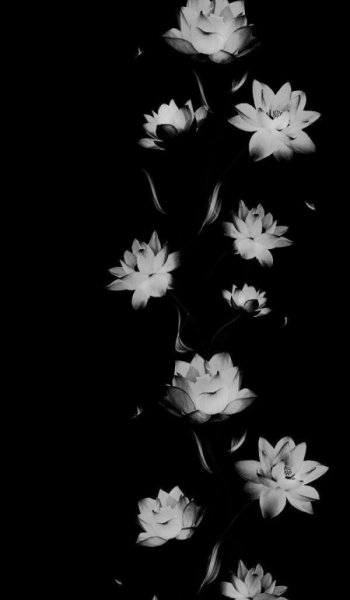  بک گراند دارک پینترست