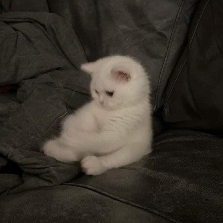  عکس های پینترست دخترانه