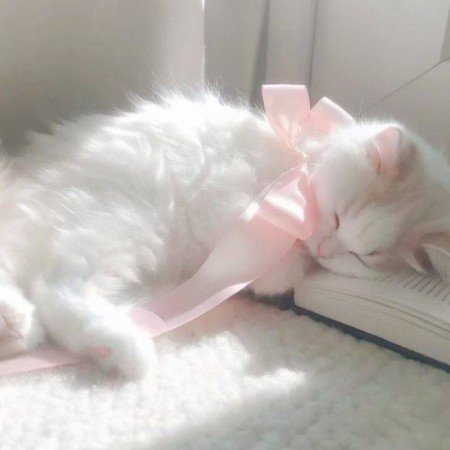  عکس دختر فیک پینترست