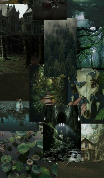  پروفایل پینترستی سبز