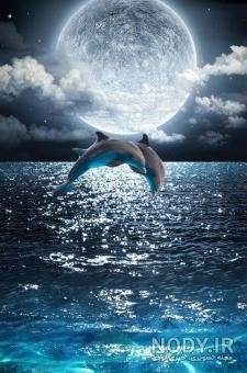  عکس ماه و دریا