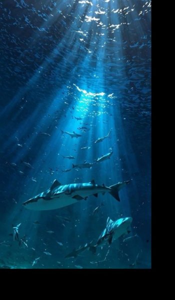  عکس دریا برای پروفایل غمگین