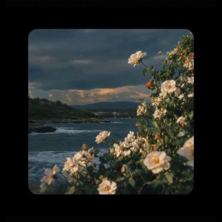  عکس دریا برای پروفایل غمگین