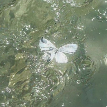  پروفایل سبز پاستیلی