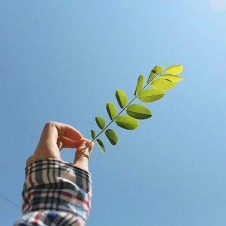  پروفایل سبز دخترانه فانتزی