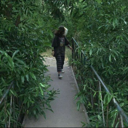  عکس پروفایل سبز شاخ