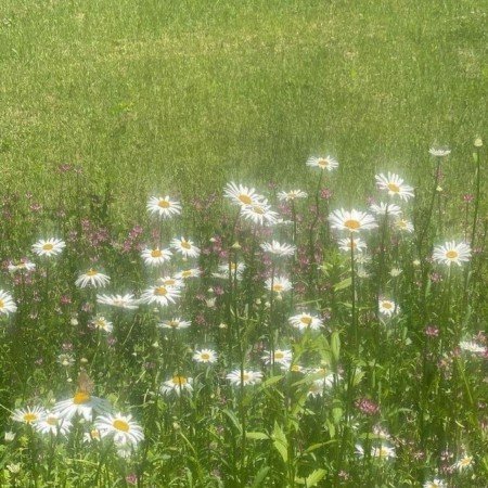  پروفایل دخترونه سبز