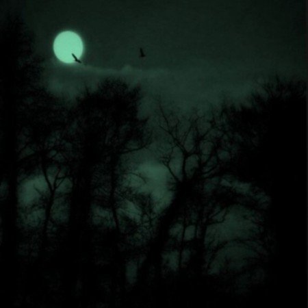  عکس سبز فانتزی