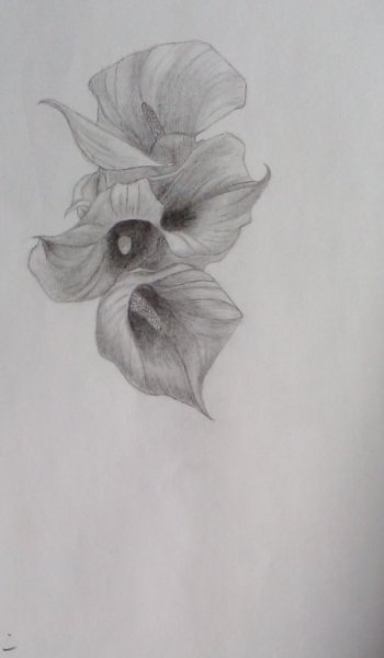  پروفایل هنری سیاه قلم