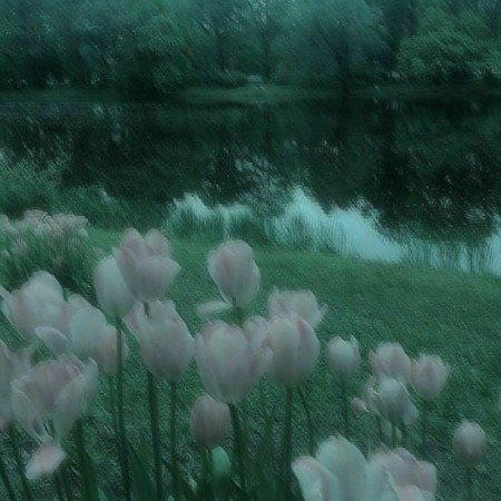  پروفایل هنری مفهومی