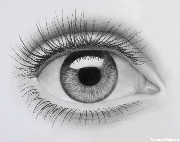  عکس نقاشی سیاه قلم ساده