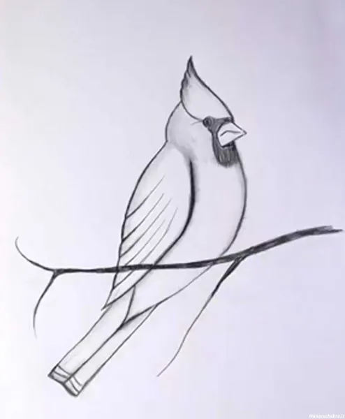  عکس نقاشی سیاه قلم ساده