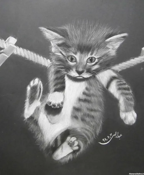  عکس نقاشی سیاه قلم ساده