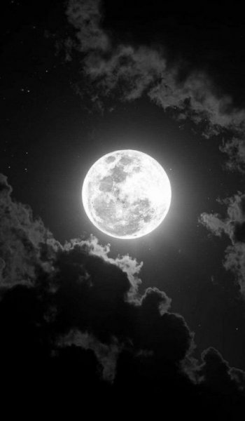  نقاشی سیاه قلم عاشقانه