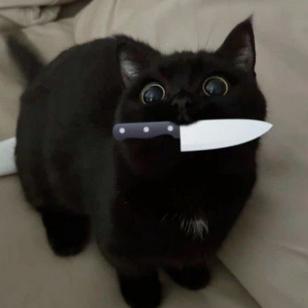  عکس پروفایل پینترست دارک