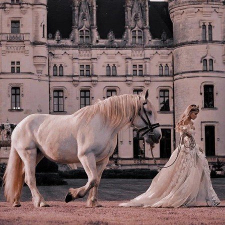  عکس های ترند برای پروفایل